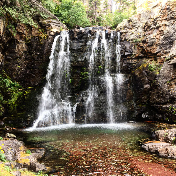 Rockwell Falls - Glacier National Park