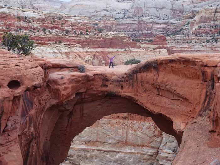 Cassidy Arch.  Capitol Reef National Park