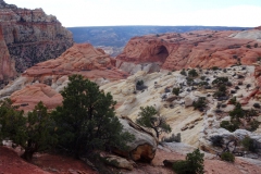 Cassidy Arch.  Capitol Reef National Park