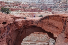 Cassidy Arch.  Capitol Reef National Park