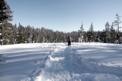 Dewey Point Meadow