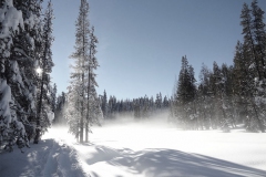 Dewey Point Meadow