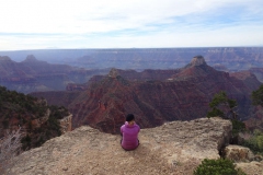 Widforss Trail - Grand Canyon Trail