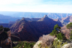 Widforss Trail - Grand Canyon National Park