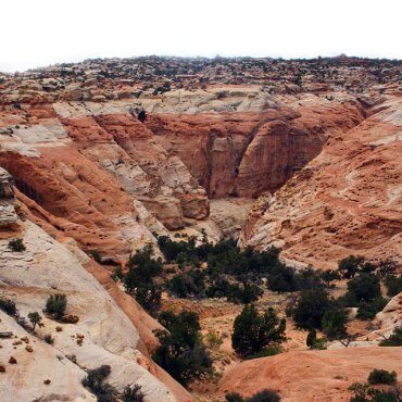 Capitol Reef Day Hikes