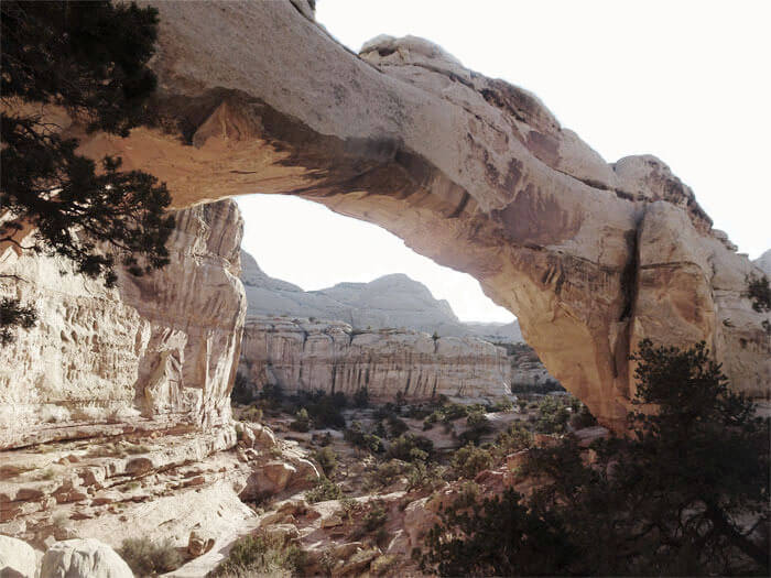 Day Hikes in Capitol Reef National Park