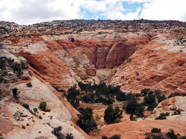 Frying Pan Trail. Capitol Reef National Park